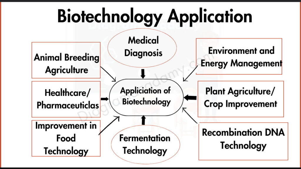 Image showing Biotechnology Application Diagram with label