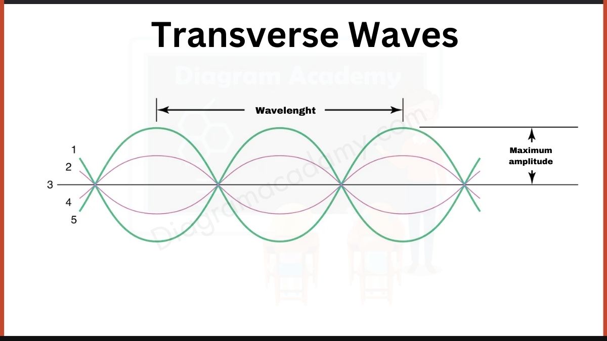 Image Showing Transverse Waves Diagram