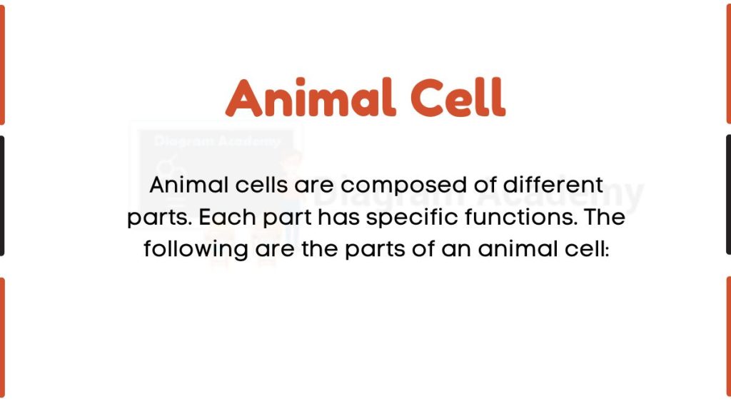 Image showing Define of Animal Cell