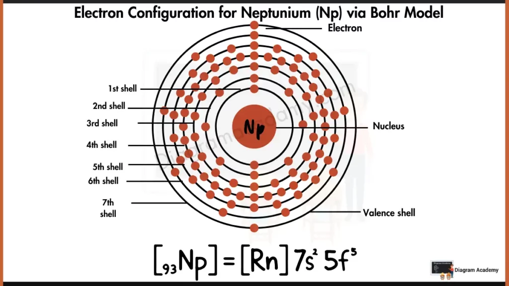 Electron Configuration of Neptunium Diagram via Bohr Model