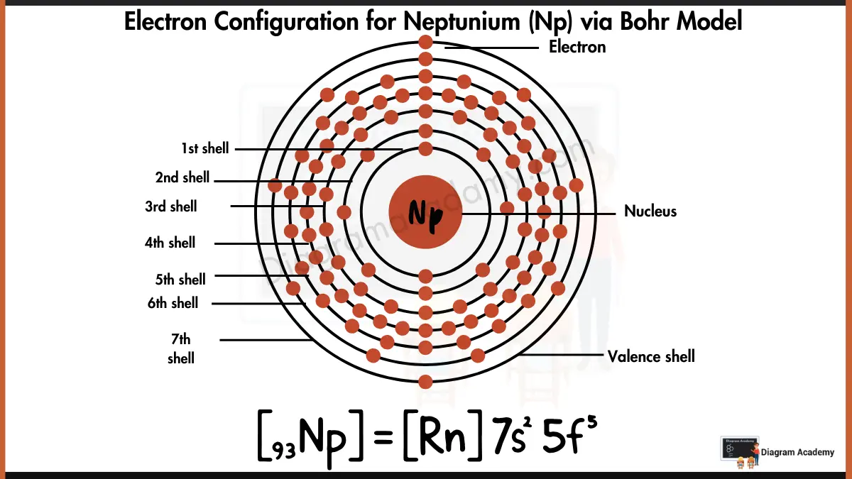 Electron Configuration of Neptunium Diagram