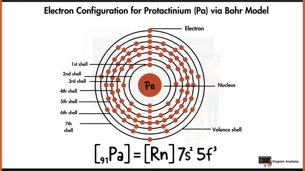 Electron Configuration of Protactinium Diagram via Bohr Model