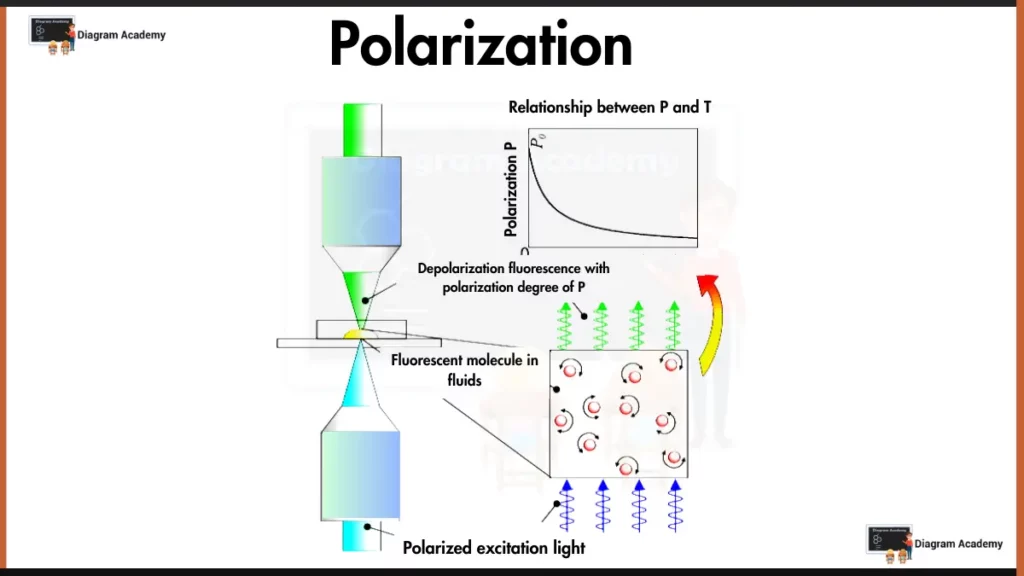 Image showing polarization diagram