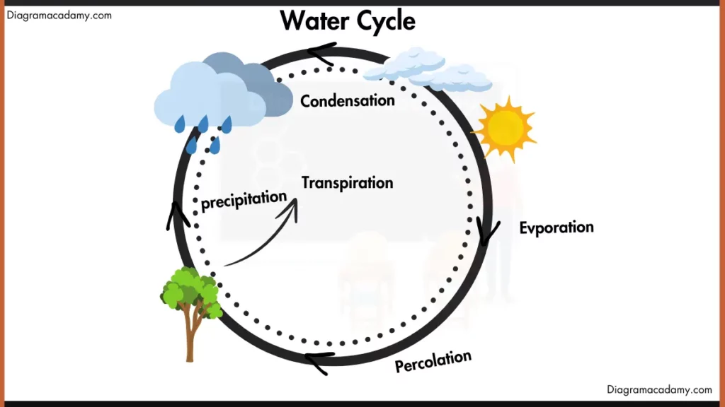 Image showing Water Cycle Diagram with labels