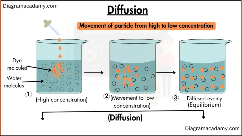 image showing Simple Diffusion Diagram