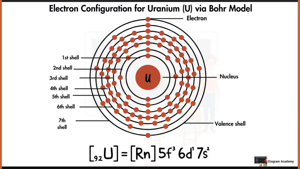 Image showing Electronic Configuration of Uranium Diagram via Bohr Model