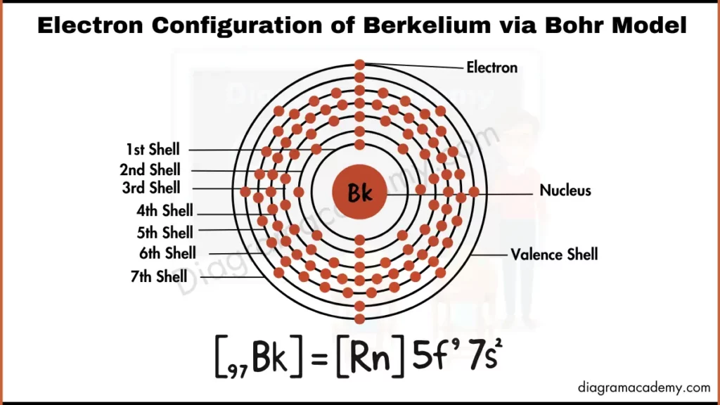 Image showing Diagram of Electronic Configuration of Berkelium via Bohr Model