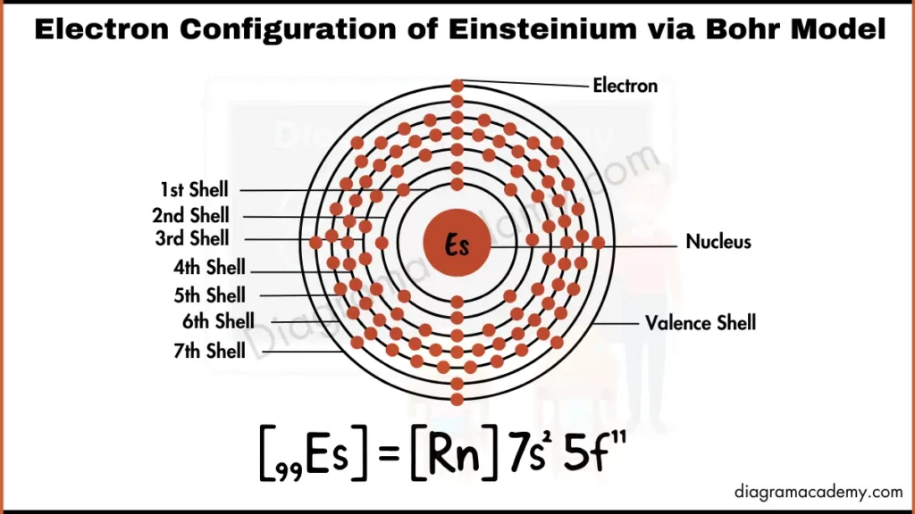 Image showing Diagram of Electronic Configuration of Einsteinium via Bohr Model