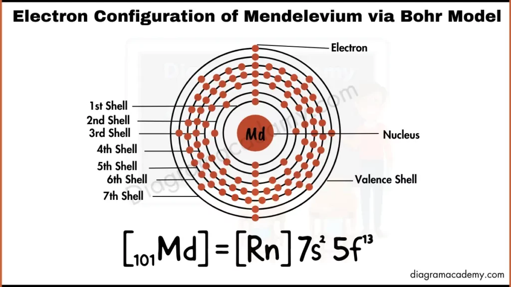 Image showing Diagram of Electronic Configuration of Mendelevium via Bohr Model