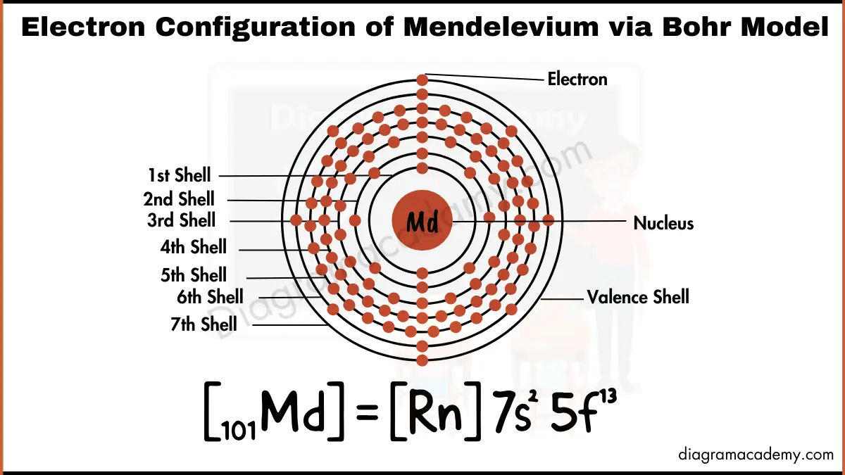 Image showing Electronic Configuration of Mendelevium Diagram