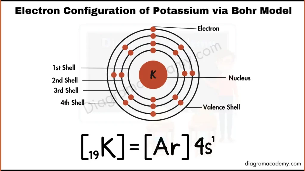 Image showing Diagram of Electronic Configuration of Potassium via Bohr Model