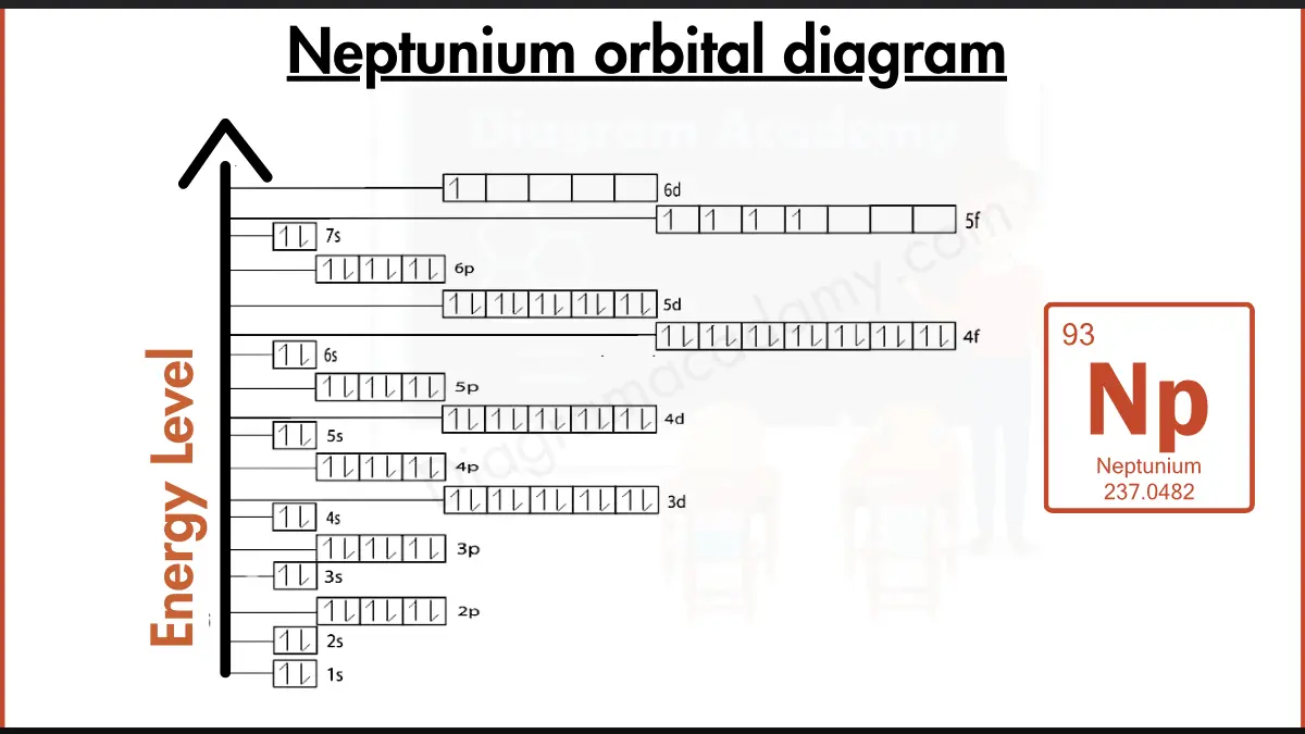 Image showing Orbital Diagram of Neptunium