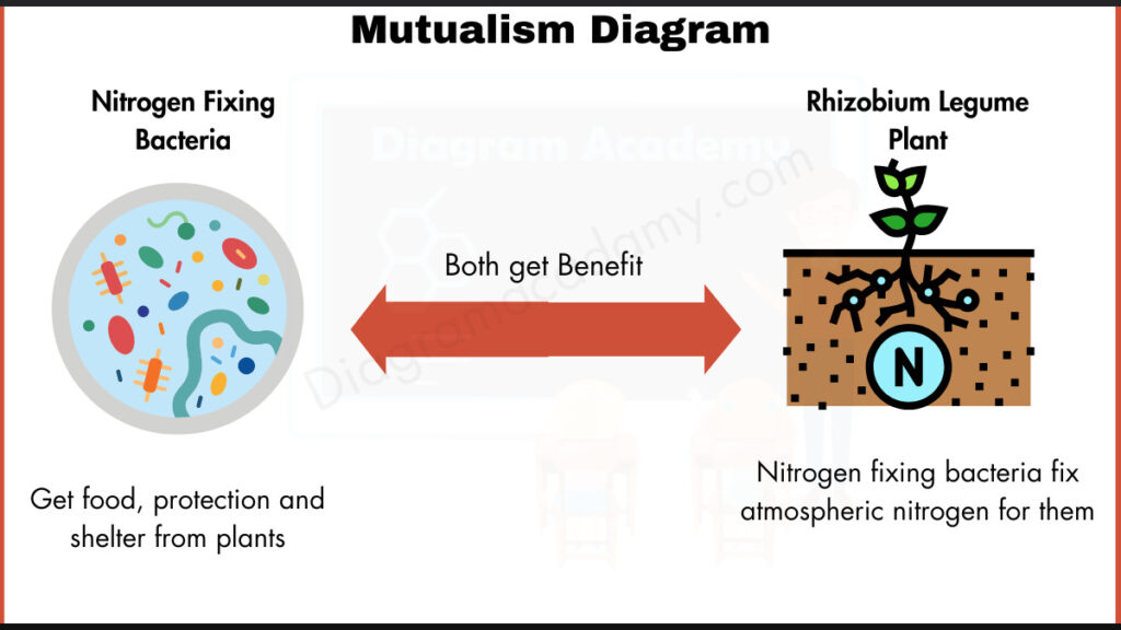 Image showing Mutualism Diagram