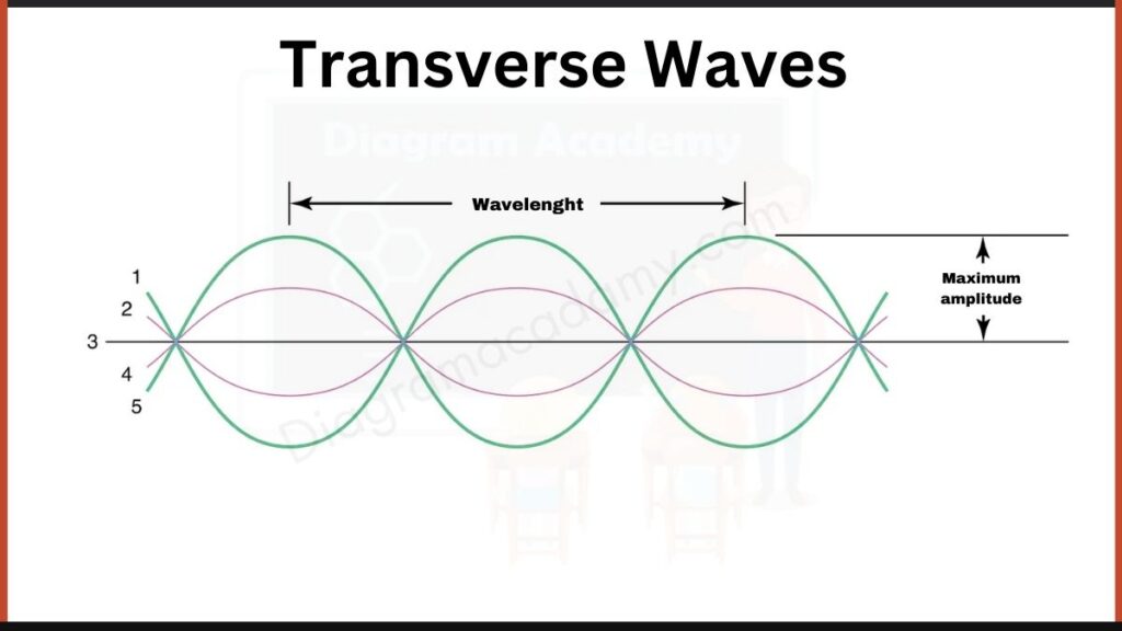 Image showing Transverse Waves Diagram